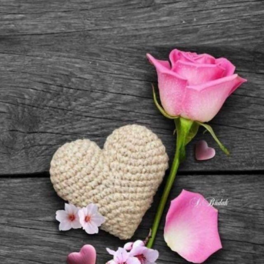 Meet your Posher, Tina